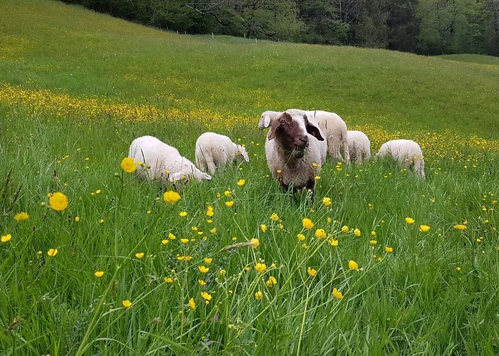 Hinterpommern - Chiemgaukarte Inzell