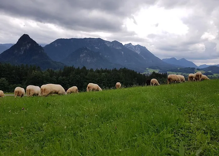 Appartamento Hinterpommern - Chiemgaukarte Inzell