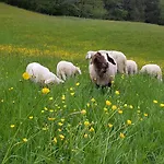 Hinterpommern - Chiemgaukarte Inzell