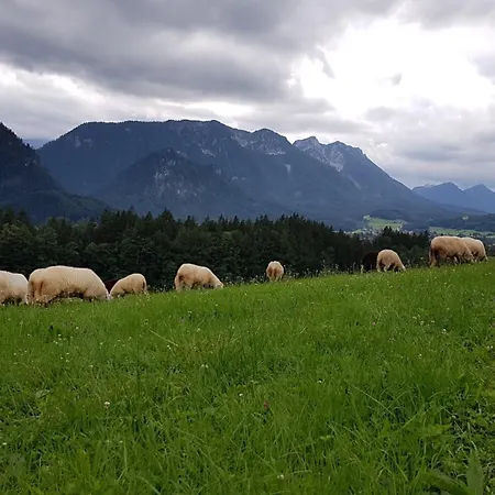 Daire Hinterpommern - Chiemgaukarte Inzell